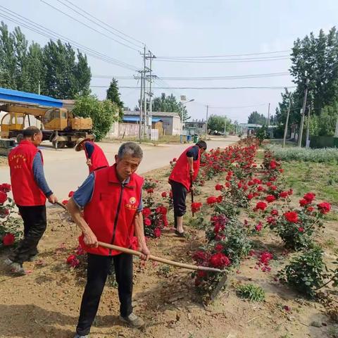 共建美好平阴--清洁村庄 我先行