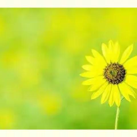 展风采 真教研 共成长——兴化学校初中数学组骨干教师示范课