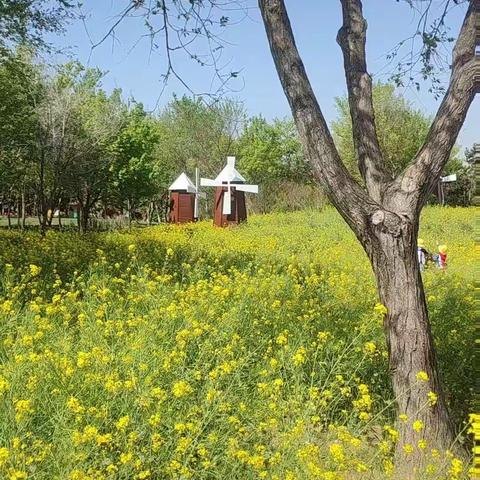 “不负春光，拾趣自然”蓝天幼儿园大班级部春游踏青活动