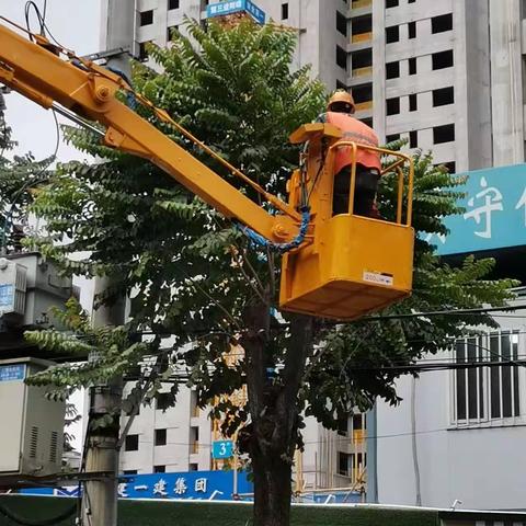 严阵以待！防御台风，我们在行动