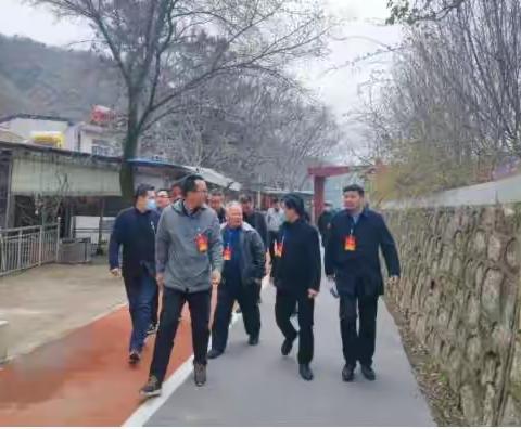 蓝桥镇人大组织开展《中华人民共和国公共文化服务保障法》和营商环境专题调研活动
