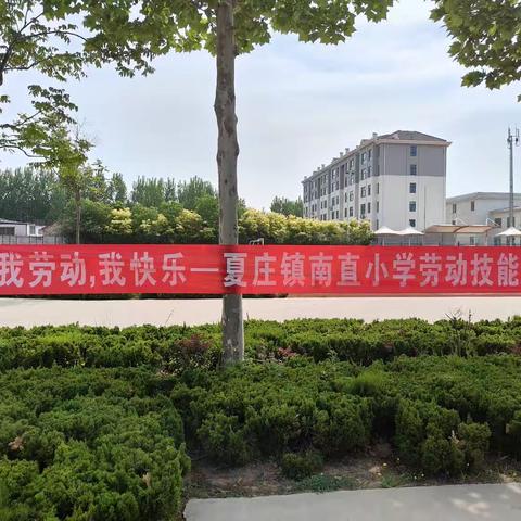 我劳动，我快乐——高密市夏庄镇南直小学劳动技能大赛掠影