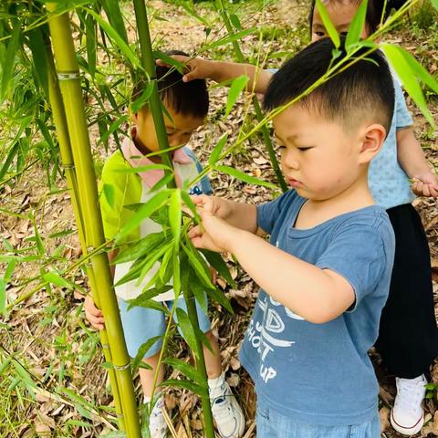 森林幼儿园国际托班19周影集💗