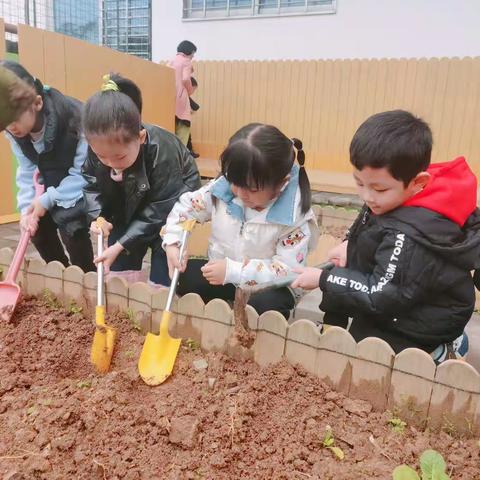 ☀️童心不泯🍉所遇皆甜🍭中二班第六周成长记录📝