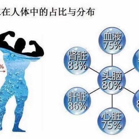 心暖心幼儿园安全教育——《喝水安全》