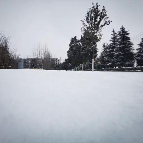 战风雪保平安，抗雪防冻众志成城