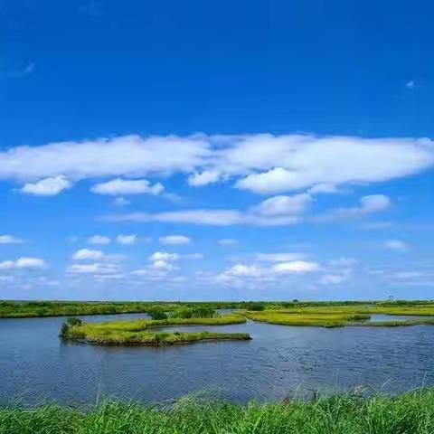 九街镇：念好三字经，人居环境大提升