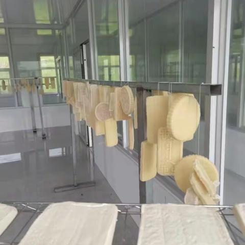 【晓景人才】呼斯乐图：奶制品加工飘香致富路