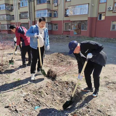 卫健局领导五一节前安全检查与医院职工共筑绿色屏障 —— 植树活动