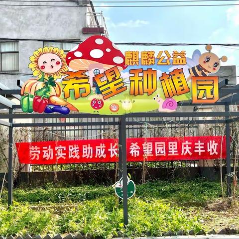 劳动实践助成长 希望园里庆丰收——洋河新区王园小学校园丰收节主题系列活动