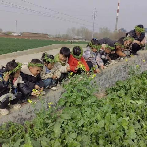 🌱不负春光，快乐踏青🌱