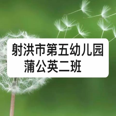 用爱陪伴 见证成长