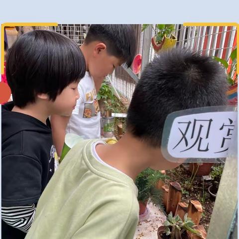 毅南幼儿园中段第11周知识反馈✨