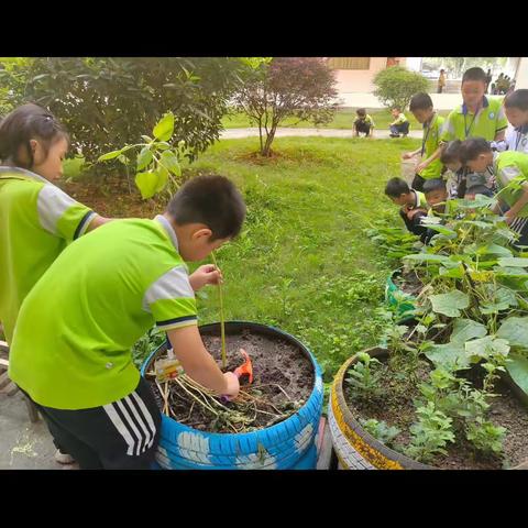 一（3）班的第十四周