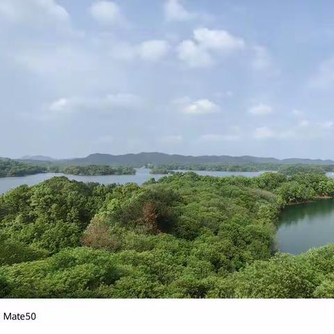 胜日寻芳南湾湖畔﻿     研教学评学深行远