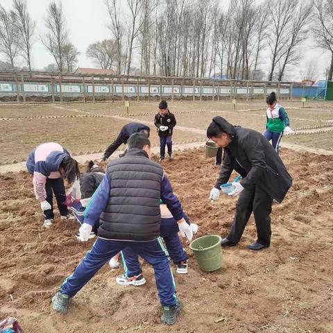 劳动励心志 实践助成长——昌图县毛家店小学开展劳动实践教育活动