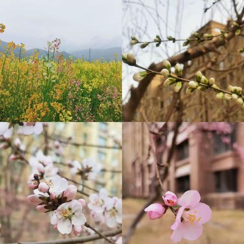 “查”我规范，“秀”我风采——兴庆区实验第二小学观湖校区数学组三～六年级教案作业检查情况反馈