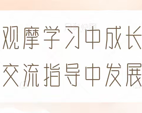 观摩学习中成长  交流指导中发展