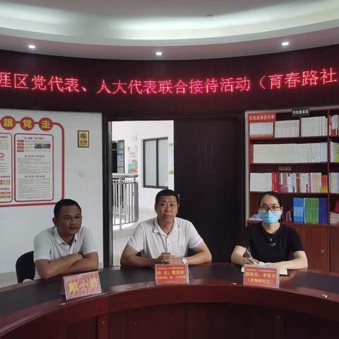 育春路社区开展天涯区党代表、人大代表联合接待活动