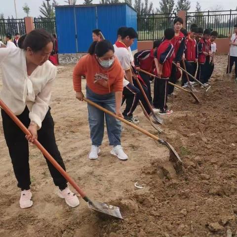 “蔬”香为伴，“勤”满校园——东明县大屯镇中心小学菜园实践基地开垦篇