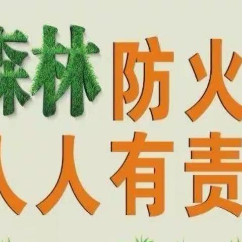 森林防火，人人有责—出头岭镇下庄中心小学森林防火教育宣传篇