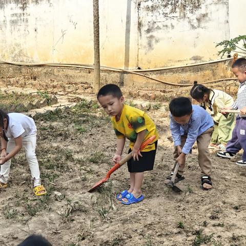 小二班种植活动——《你好，花生》