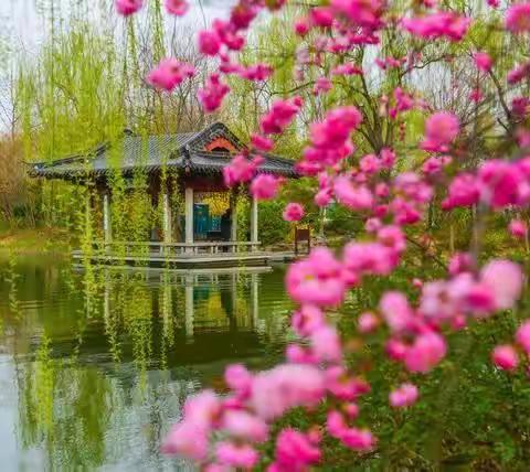 在济南的春天采撷学习的芬芳