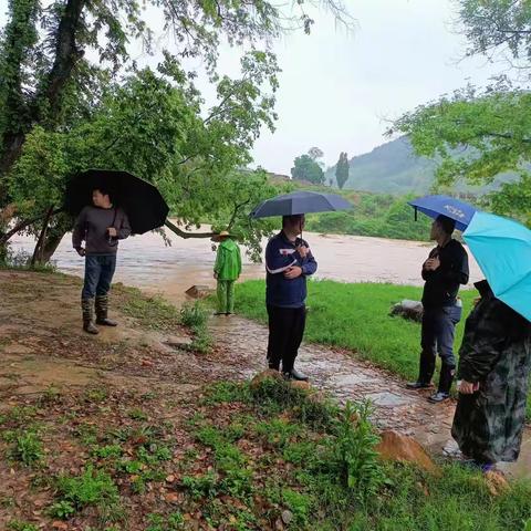 燕西街道：密切关注水情，扎实开展防汛