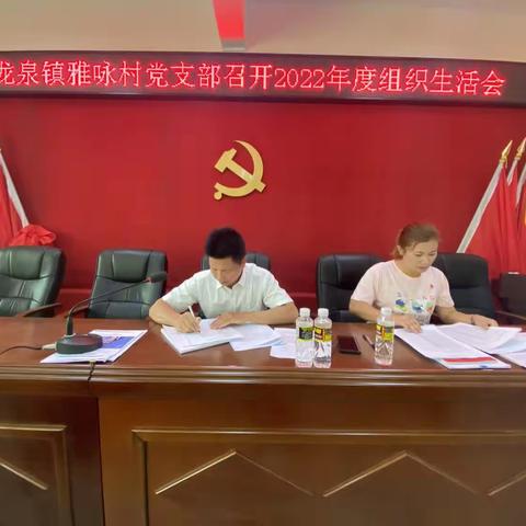 雅咏村党支部开展“学习贯彻龙华两会精神”3月份主题党日活动