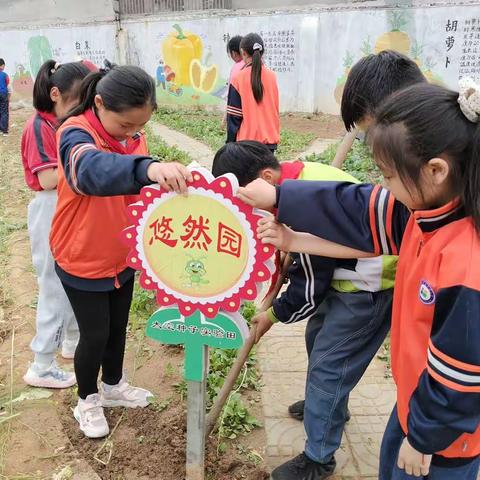 小农场大世界一一东沙河小学蚂蚁农场劳动记录