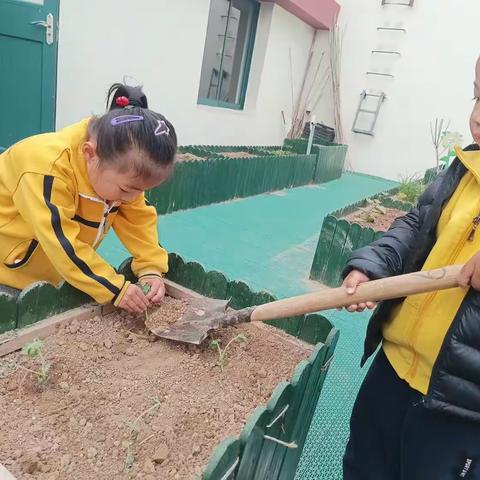 夏日西遇——小四趣自然课程