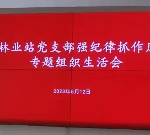 林业站党支部召开强纪律抓作风专题组织生活会