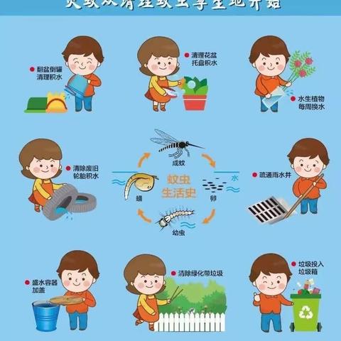 预防登革热，你我齐参与——西秀中心小学登革热防控工作纪实2