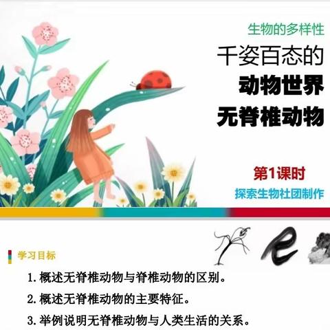 钢城小学探索生物社团