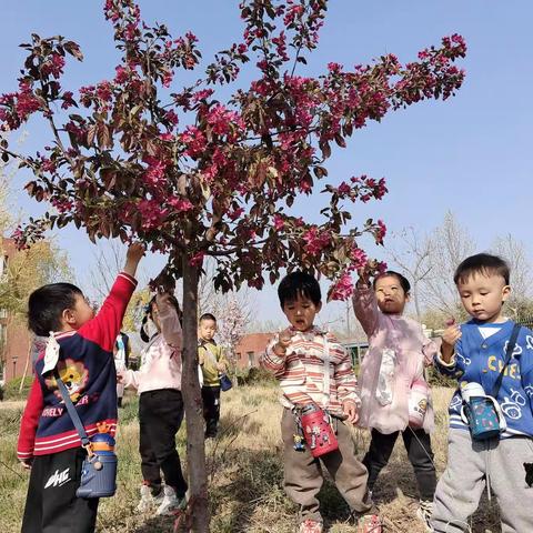 蓝天大地幼儿园小一班生活化课程:《你好呀，春天》