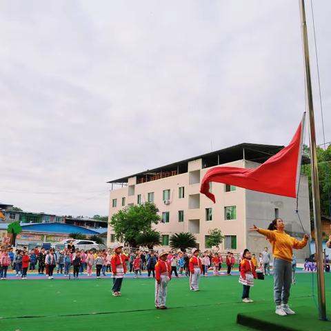 中二班周报——种子在发芽