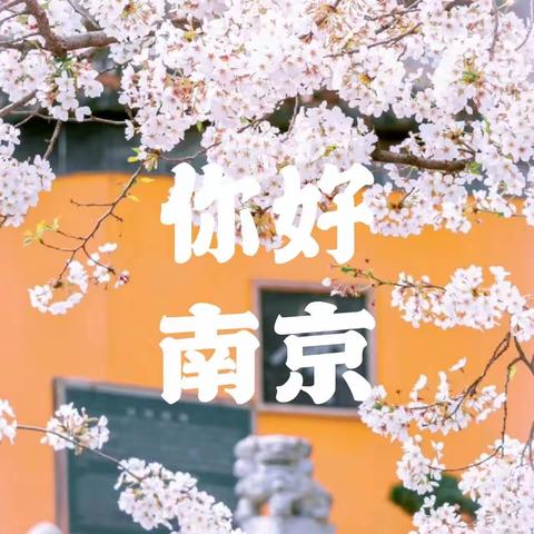 三月春风暖 研学繁花开——广州市“百千万人才培养工程”小学名教师（体育组）南京跟岗研修