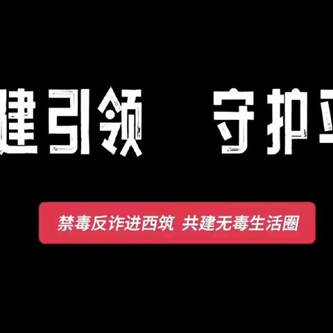 “党建引领，守护平安”西筑社区禁毒反诈进社区活动