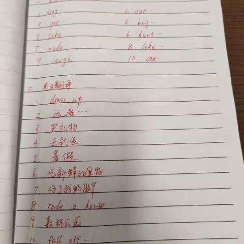 （六下）第四单元重点知识点及主观题训练