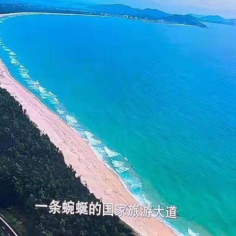 海口琼山饮食服务公司组织收看《奋辑杨帆海之南》