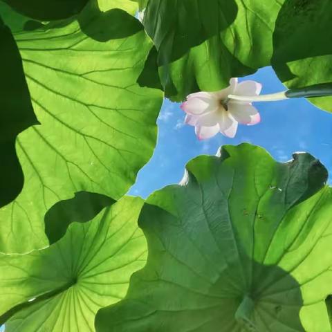 2019081四（3）班线上线下读书交流会