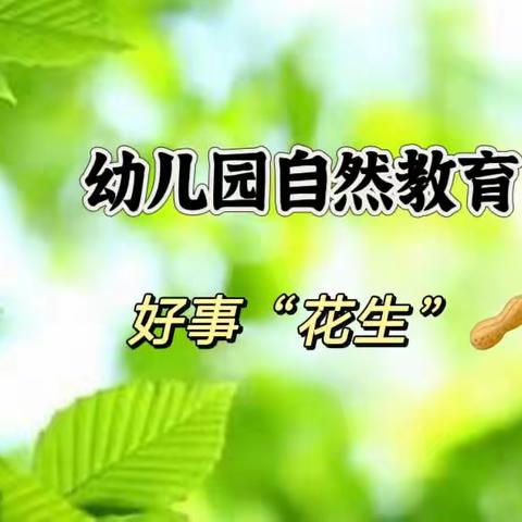 乐享丰收～好事“花生”——纪实蒙氏三班花生之旅主题活动