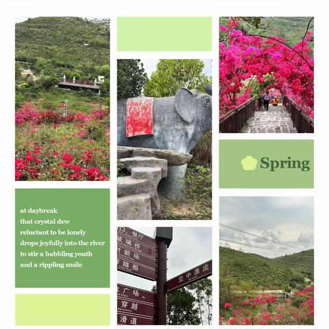 拥抱大自然，亲情永相伴一一湛江市二中七（12）班田园寨户外亲子活动