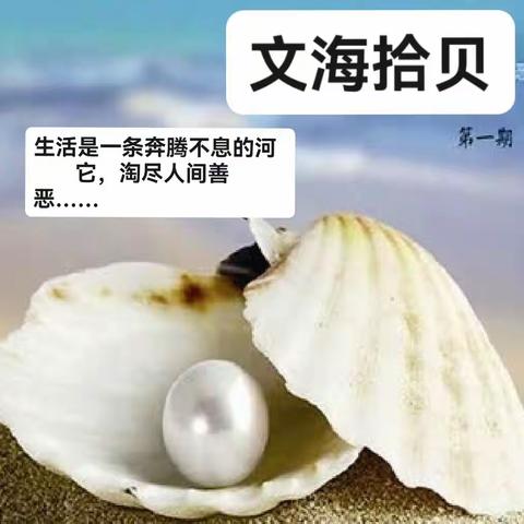 璇的美篇