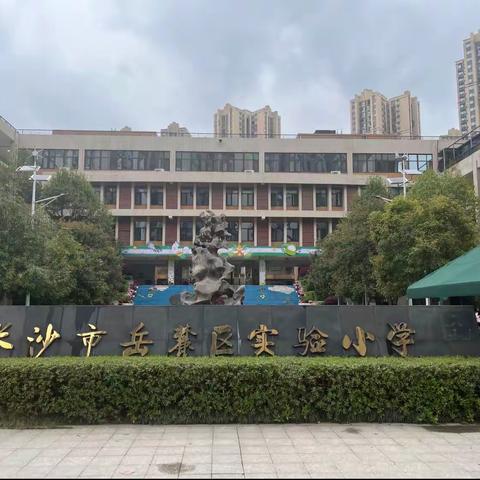落实新课标，提升学生核心素养培训有感