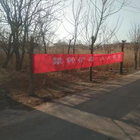 罂粟踏查，我们在行动！