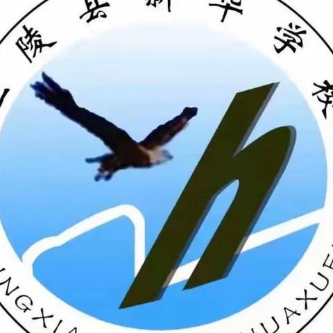 兰陵县新华学校“传承雷锋精神，争做美德好少年”活动总结