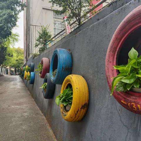 春雨来织梦，温暖载满园——瑾山小学少先队第七周工作小结