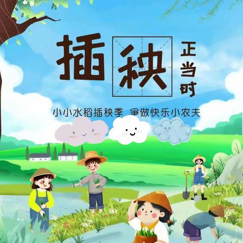 走进田园大课堂，学农体验我能行——山心镇龙江小学学农社会实践活动