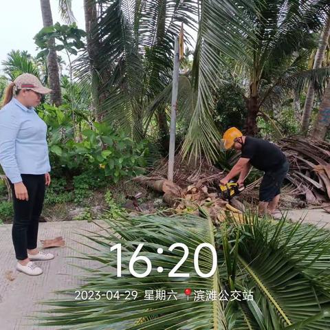 龙江镇2023年4月24日-2023年4月30日工作汇报